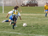 IMG_8685.JPG