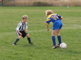 IMG_8721.JPG
