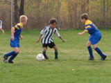 IMG_8726.JPG