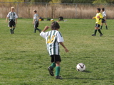 IMG_8629.JPG