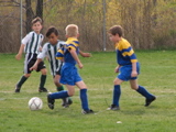 IMG_8727.JPG