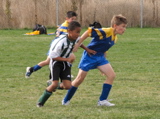 IMG_8729.JPG