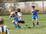 IMG_8736.JPG