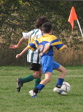 IMG_8745.JPG