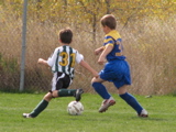 IMG_8761.JPG