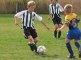 IMG_8766.JPG