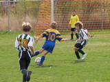 IMG_8771.JPG
