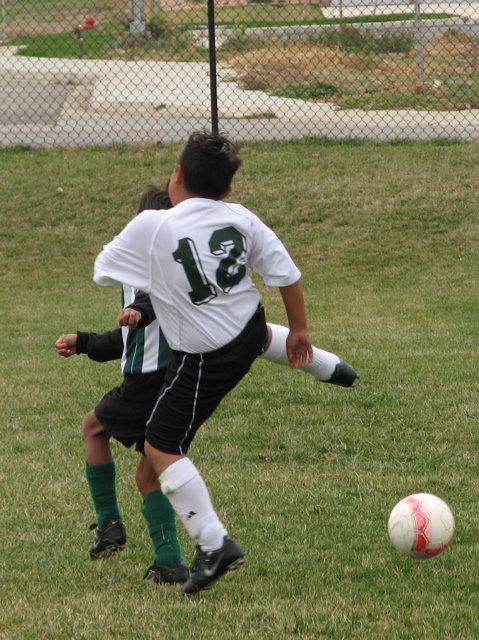 IMG_9533.JPG
