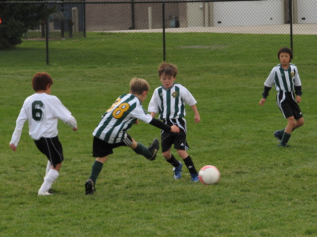 IMG_9815.JPG