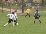 IMG_9428.JPG