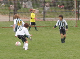 IMG_9429.JPG