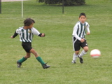 IMG_9282.JPG