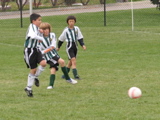 IMG_9503.JPG
