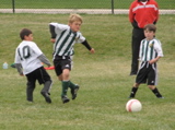 IMG_9584.JPG