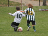 IMG_9597.JPG