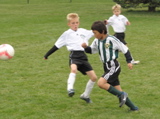 IMG_9619.JPG