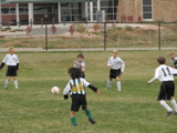 IMG_9311.JPG