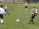 IMG_9732.JPG