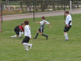 IMG_9774.JPG
