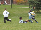 IMG_9811.JPG