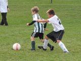 IMG_9828.JPG