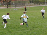 IMG_9837.JPG