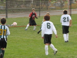 IMG_9847.JPG