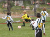 IMG_9331.JPG