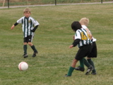 IMG_9343.JPG