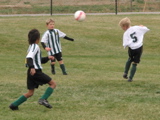 IMG_9350.JPG