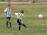 IMG_9351.JPG