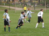IMG_9372.JPG