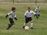 IMG_9377.JPG
