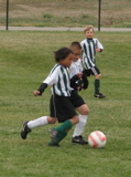 IMG_9378.JPG