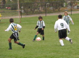 IMG_9391.JPG