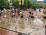 IMG_0161.JPG