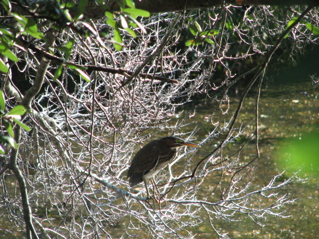 IMG_3921.JPG