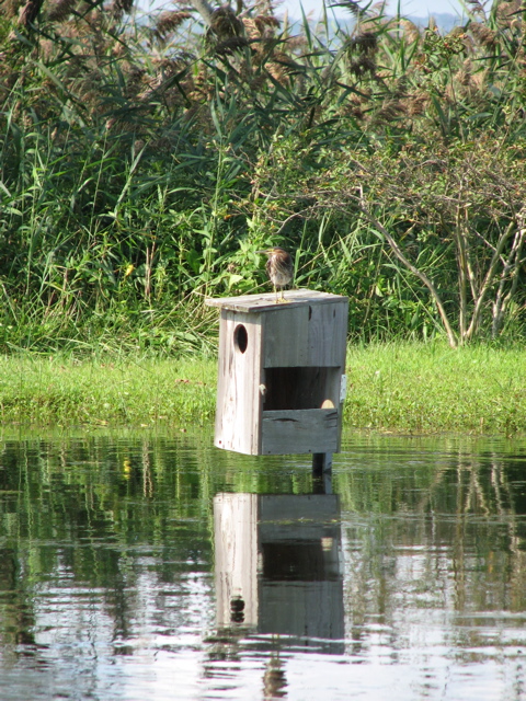 IMG_3999.JPG