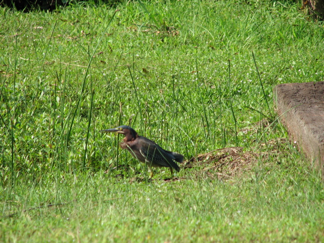 IMG_4002.JPG