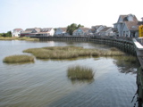 IMG_4003.JPG