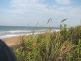 IMG_4009.JPG