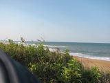IMG_4010.JPG