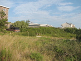 IMG_4011.JPG