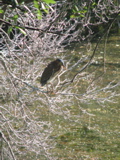 IMG_3922.JPG