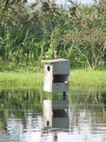 IMG_3999.JPG