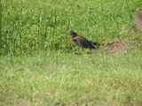 IMG_4001.JPG