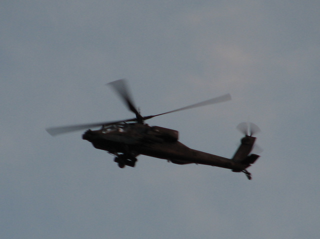 IMG_5331.JPG