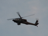 IMG_5331.JPG
