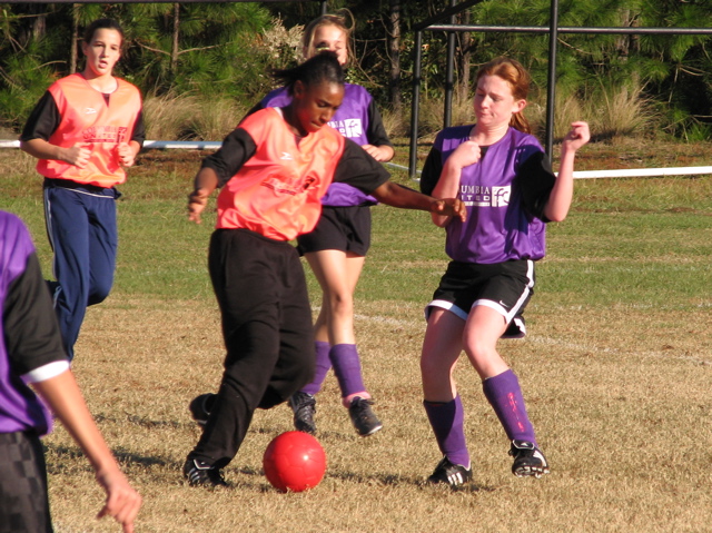 IMG_5995.JPG