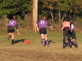 IMG_5518.JPG